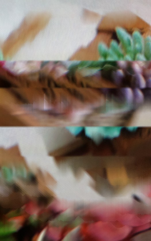 SILKWWWAY 17MB