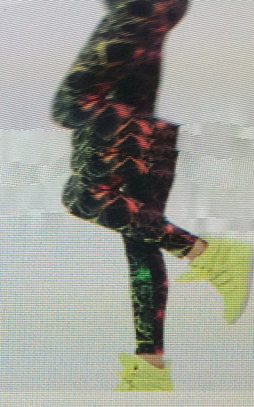 SILKWWWAY 25MB